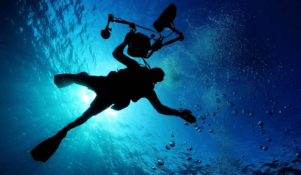 Marine Conservation
