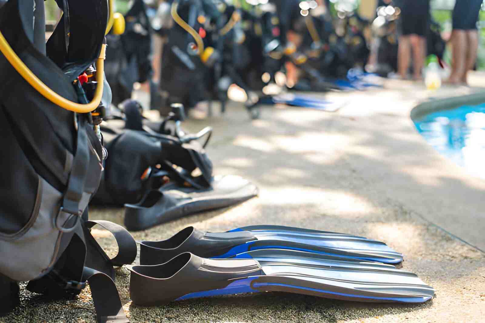Dive Guide Language Class